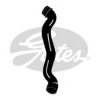 GATES 3951 Radiator Hose
